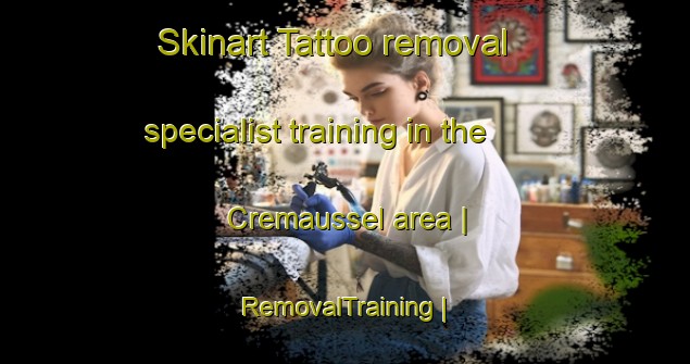 Skinart Tattoo removal specialist training in the Cremaussel area | RemovalTraining | RemovalClasses | SkinartTraining-France